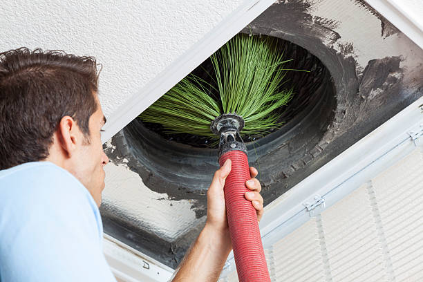 Air Duct Mold Removal in MN