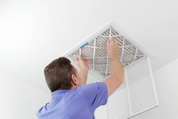 Best Home Air Vent Cleaning  in Crosby, MN